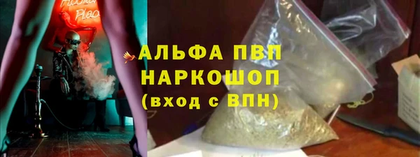 PSILOCYBIN Переславль-Залесский