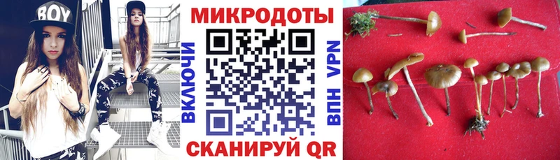 наркошоп Ак-Довурак Псилоцибиновые грибы Cubensis